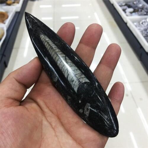 1pcs Natural fossil polished rectangular stone crystal fossil energy crystal home decoration Halloween gift