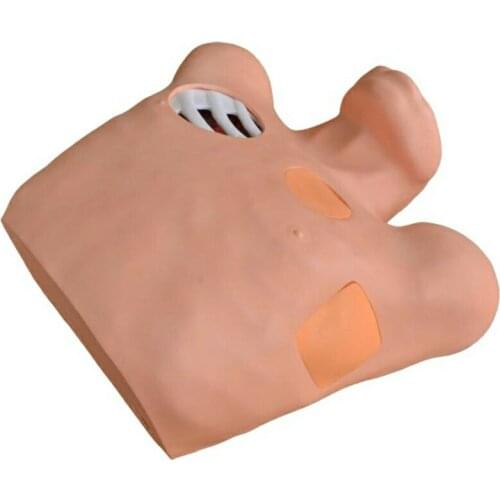 Medical Simulator Series Pneumothorax / Pleural Drainage (Artificial Hydrothorax) for teaching