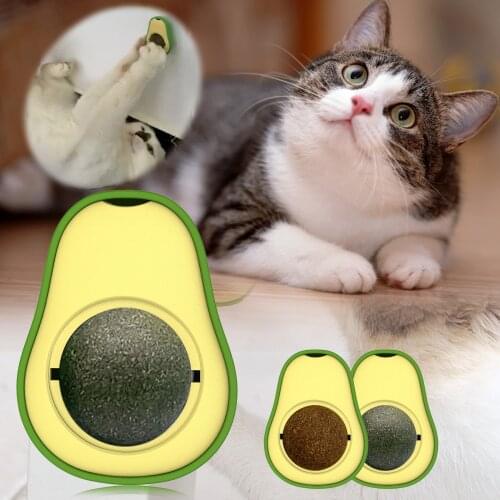 MAIGEENIFA Toys For Cats