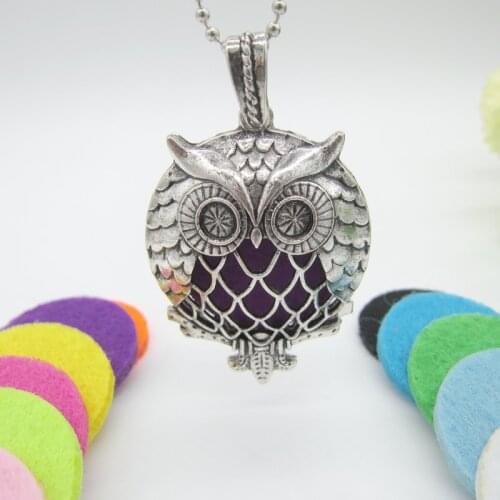 Newest Arrival Charming Owl Slide Magnetic Locket Pendant fit with 30mm Felt Pads Fashion Essential Oil Diffuser Necklace