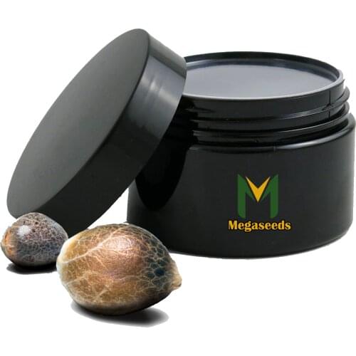 MEGASEEDS Goods For Beauty And Health