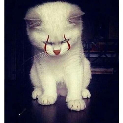 Full Square Embroidery Diamond Painting Cross Stitch Animal white cat Gift Diamond Mosaic Needlework Art Home DecorationZP-2326