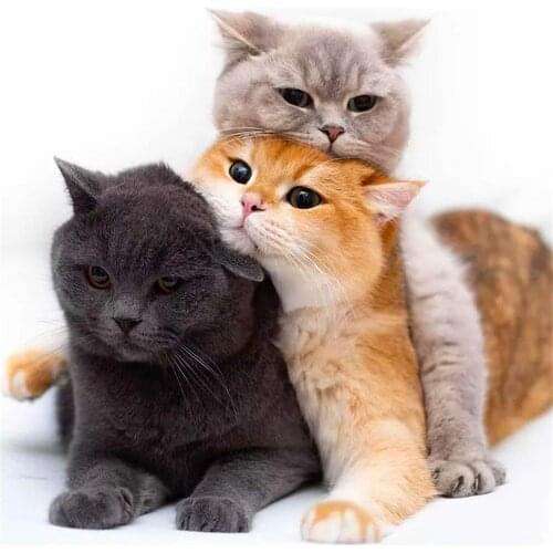 Animal Cat DIY Cross Stitch Embroidery 11CT Kits Craft Needlework Set Cotton Thread Printed Canvas Home Decoration For Sell