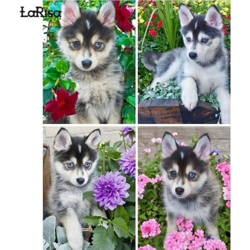 Husky 5D DIY Diamond Painting Dog Cross Stitch Kit Animal Full Drill Embroidery Mosaic Art Picture Rhinestones Home Decoration