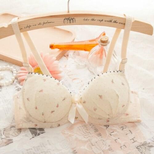 Super Push Up Bra Sexy Women Double Push Up Bras Sexy Lace Push Up Bra Silicone Underwear Gather Women Push Up Bra B Cup