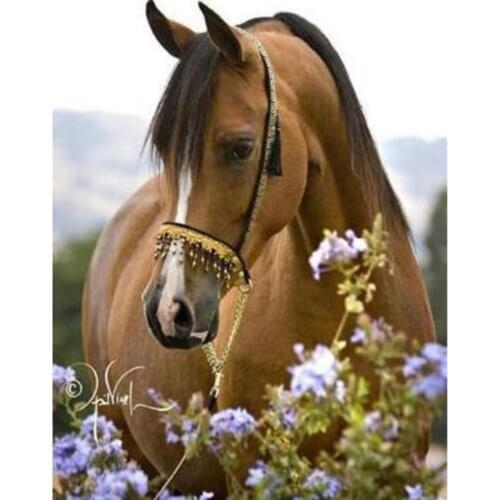 Animal Horse DIY Cross Stitch Embroidery 11CT Kits Needlework Craft Set Printed Canvas Cotton Thread Home Decoration New Design