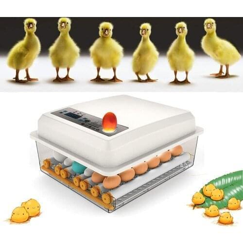 36 Eggs Incubator Eggs Digital Mini Full Automatic Incubators For Hatching Turkey Duck Goose Quail Chicken Eggs Incubation Tools