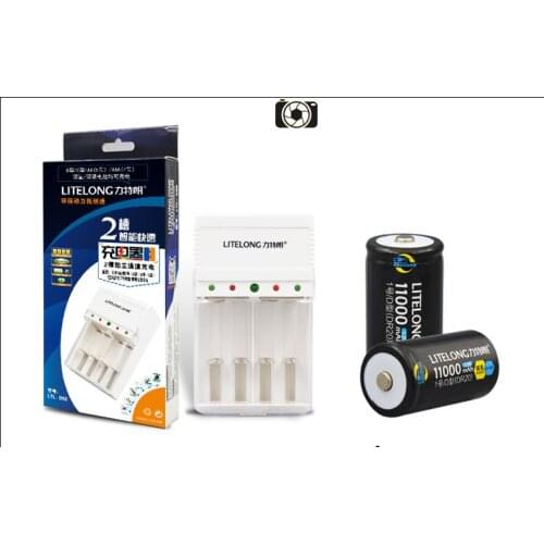 LITELONG 1PCS Charger + 2pcs D/R20 Size Rechargeable Batteries NiMH 11000mAh battery with Higher Current Capabilities