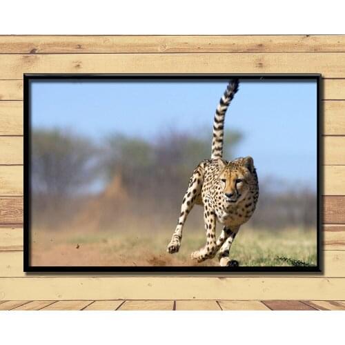 Cheetah Fierce Animal (26) Wall Posters Prints Silk Art Painting For Home Wall Bedroom Decor
