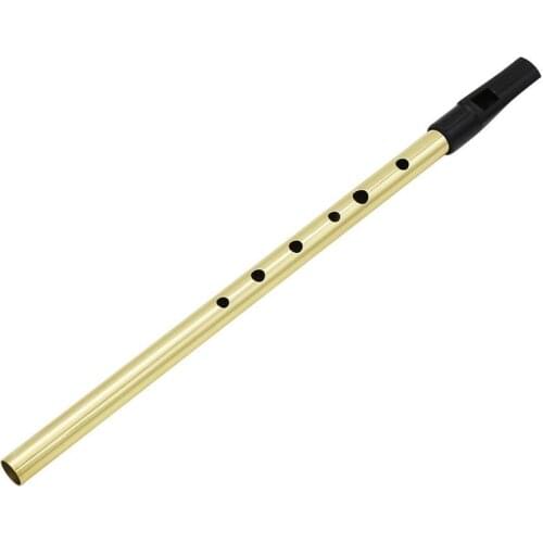 IRIN Irish Whistle Flute D Key Ireland Flute 6 Hole D Tone Gold Orff Musical Instrument Flute 30.3*1.5*1.2cm
