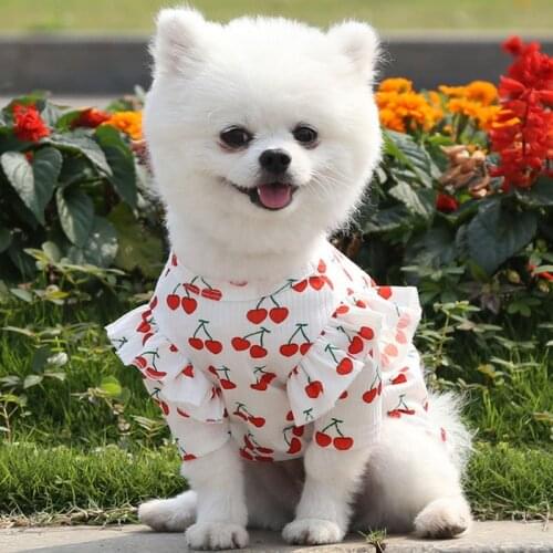 All Season Pet T-Shirt Cute Cherry Pattern Dog Clothes Soft Comfortable Bottoming Shirt Home Pets Short Sleeves