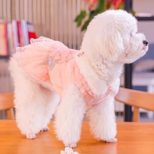 Clothes For Dogs Girl Dress Autumn Winter Pet Chihuahua Skirt For Pomeranian Puppy Wedding Dress Keep Warm Clothes Pet Supplies