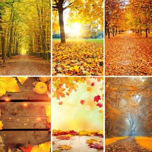 Autumn Yellow Light Bokeh Maple Fallen Leave Tree Baby Portrait Wedding Party Photo Background Photography Backdrop Photo Studio