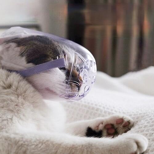 Transparent cat eye mask cat bite-proof headgear wash cat bath bag injection cat collar