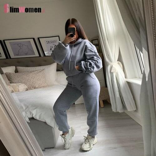 Oversized Hoodies Suit Winter Casual Tracksuit Women Velvet 2 Pieces Set Sports Sweatshirts Pullover Home Sweatpants Outfits XXL