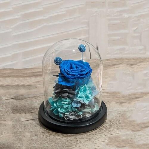 10*12cm Small Size Glass Dome Vase Home Decoration Black Base Transparent Cover DIY Friend Favor Gift Wedding Live Prop