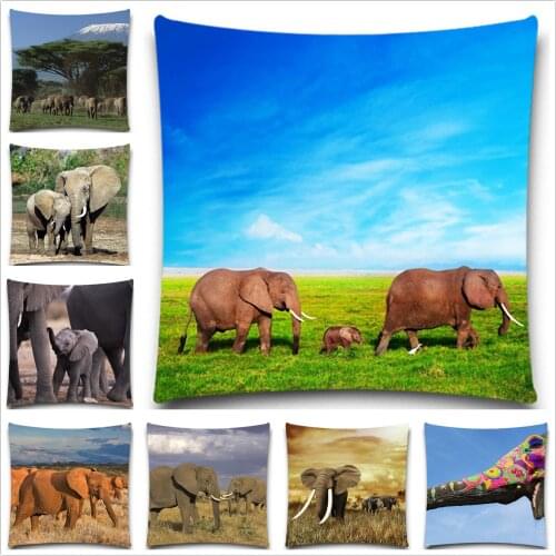 Artistic Colorful Pillow cover For Sofa elephant Chair Pillow case Modern minimalist Pillow Covers
