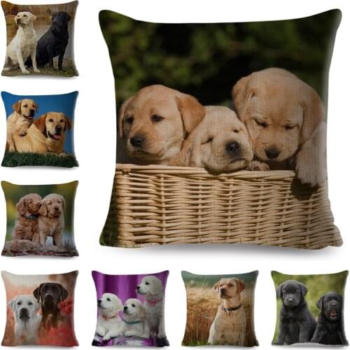 Cute Labrador Pillow Case Decor Pet Dog Animal Printed Cushion Cover for Sofa Home Car Polyester Pillowcase 45x45cm