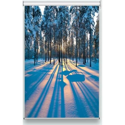 Roller blind blackout window Sunny snow photo print Roller Blinds For living room bedrooms roll curtains Decorative window