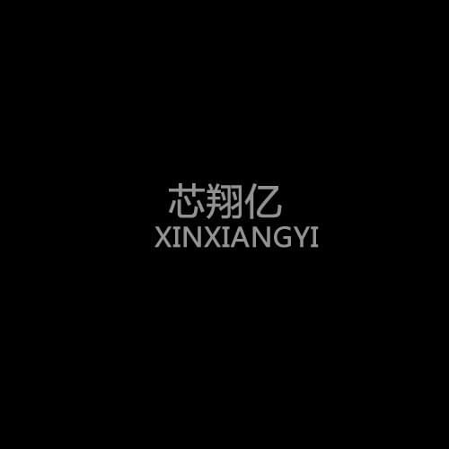 XINXIANGYI