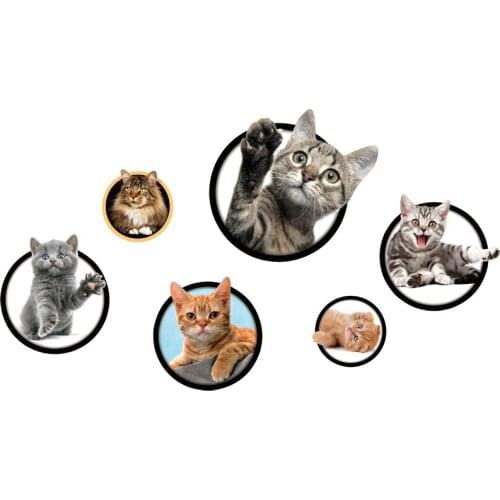 3D Cat Combination Wall Sticker for kids room home decor art decals Self-adhesive wall decorations animals stickers wallpaper