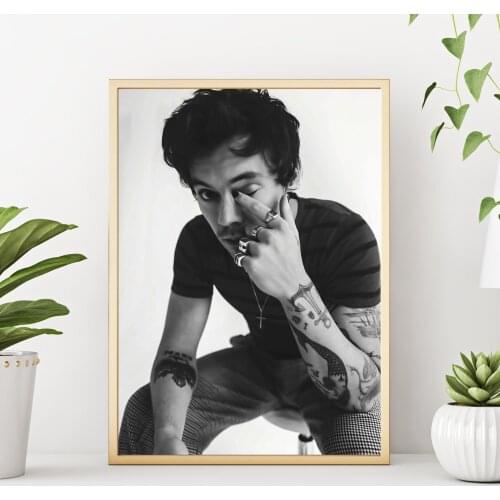 Home Decoration Painting Canvas Harry Styles Print Poster HD Modern Wall Art Modular Picture for Bedroom Background No Framed