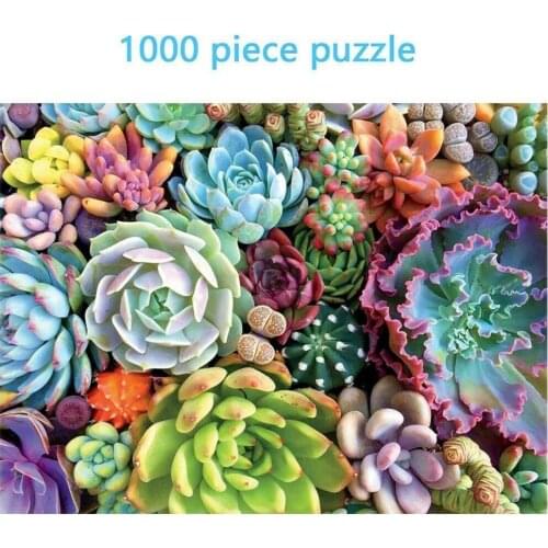 Succulents 1000 Pieces Adult Childrens Puzzle Holiday Gift Rectangular Paper Puzzle toy 1000 Pieces of Educational Toys