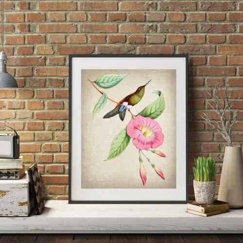 Hummingbird and Botanical Art Print Vintage Bird Illustration Poster Wall Art Decor Retro poster kraft paper