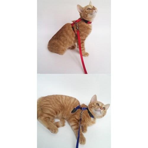 50PCS/lot Cat Harness And Leash Hot Sale 3 Colors Nylon Products For Animals Adjustable Pet Traction Harness Belt Cat