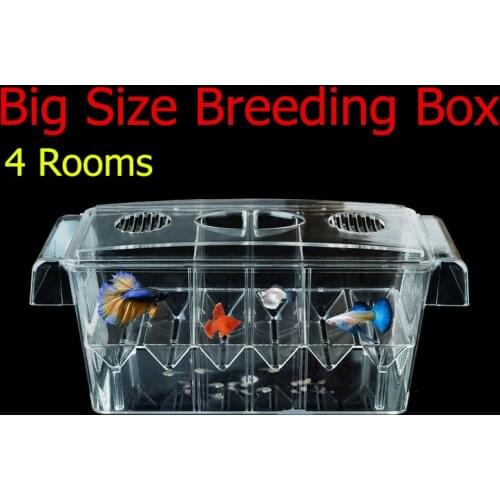 Большие слитные купальники SEVEN MASTER China At AliExpress