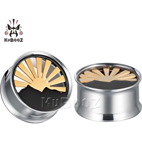 KUBOOZ New Trendy Fashion Stainless Steel Sunrise Ear Piercing Plugs Gauges Stretchers Body Jewelry Ear Tunnels Expanders 8-25mm