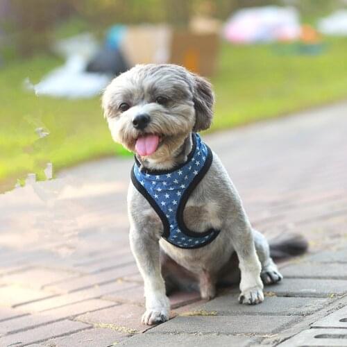 No Pull Dog Vest Harness for Small Medium Dogs Breathable Soft Padded Pet Puppy Harness Pitbull Bulldog Pug Products