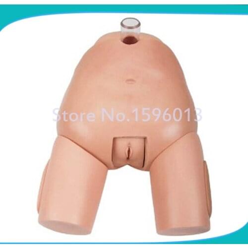 Advanced Female Bladder Puncture Simulator, Vesicopuncture Training Model