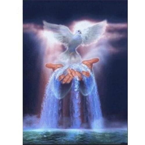 Diy diamond painting cross stitch kits Abstract hand pigeon full 5d diamond embroidery waterfall landscape wall stickersZP-2392