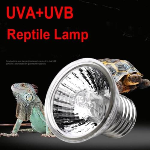 LumiParty Terrarium Lamps