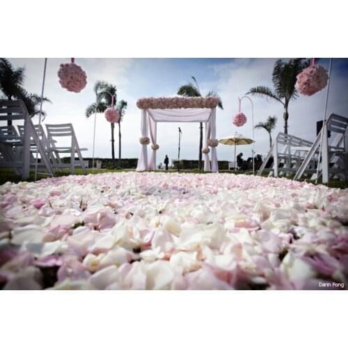 10 PCS Wedding Hook Stand White ajust to 63"