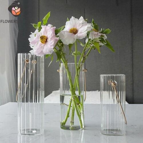 Glass Vase Modern Home Decoration Accessories Living Room Garden Simple Portable Vase Flowers Hydroponic Transparent Small Vase