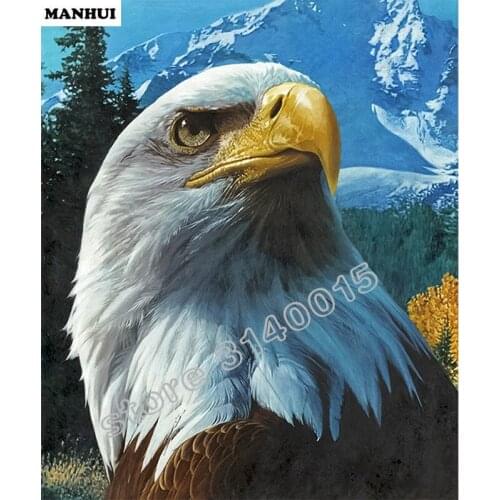 New DIY Diamonds 5D Diamond Mosaic Full Circle Diamond Diamond Embroidered Animal Eagle BFC014