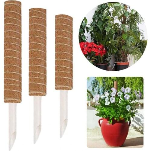 Corrosion Resistant Coir Potted Climbing Plants Support Stake Office Decorations