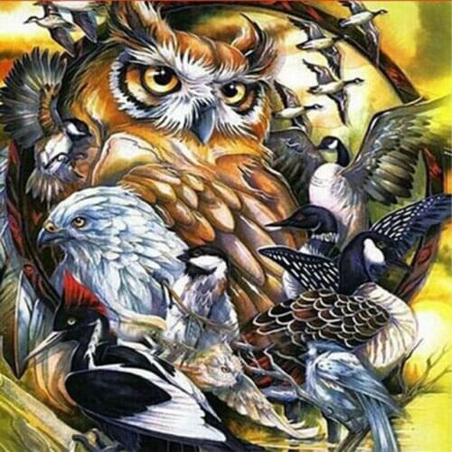Drill Square/Round 5D Diy Diamond Embroidery Owl Eagle Bird Diamond Painting Cross Stitch Diamond Mosaic Needlework Home Decor