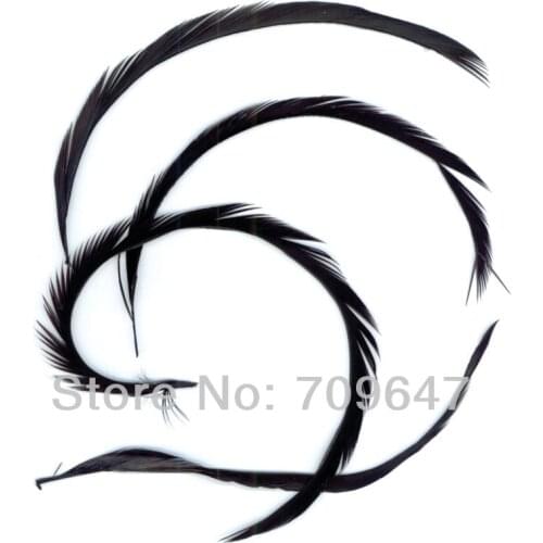 200PCS/LOT 6-8" 15-20CM Stripped BLACK Goose Biots for Fly Tying ,black feathers,plume decoration,feathers for hats