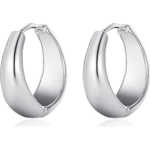 Simple New Trendy Circle Hoop Earrings Punk Fashion Huggie Ear Jewelry Women Small Loops for Girls Gold Party Brincos