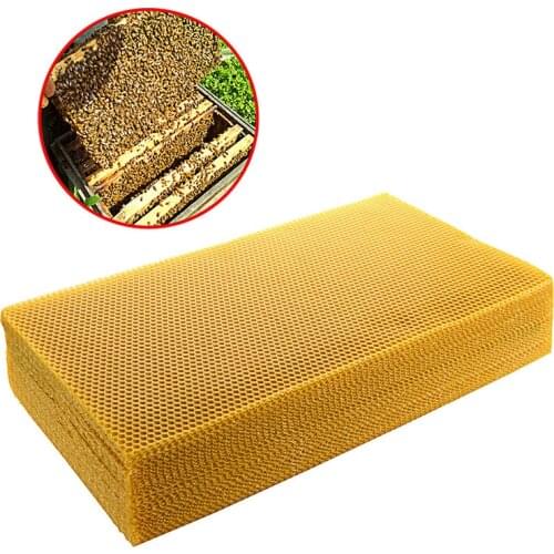 10pcs 200x415mm Honeycomb Beeswax Foundation Beehive Wax Frames Base Sheets Apis Mellifera Ligustica