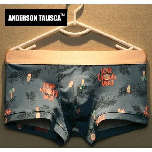 ANDERSON TALISCA Brand New Mens Boxers Underwear Men Boxer Print Ropa Interio Cotton Man Cueca Masculina Size M-3XL 122601 Hot