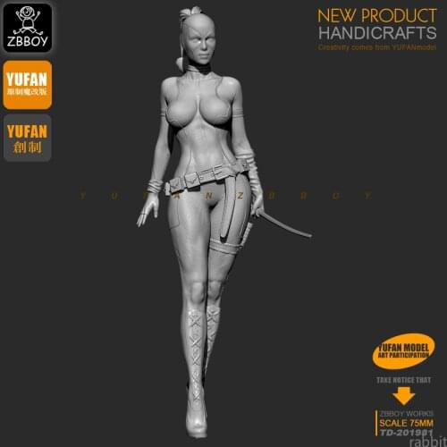 1 / 24 Resin Kits Lady Death Resin Soldier Model Self-assembled TD-201981