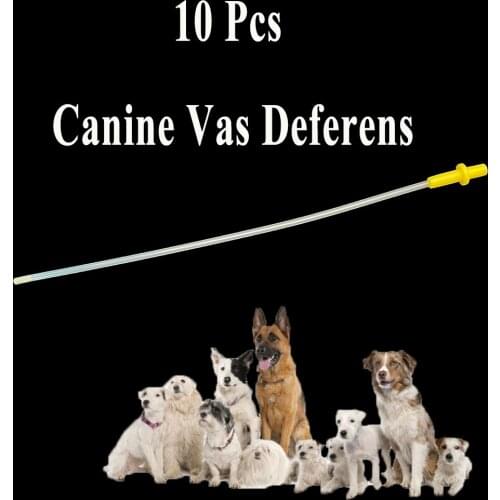 10PCS Dog Artificial Insemination Tube 27cm Disposable Semen Injection Pipe Plastic Canine Vas Deferens Pet Puppy Clinic Tools