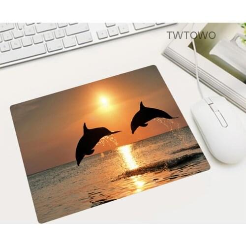 High Quality Animal Dolphin Mouse Pads for Home Desk Pad Desktop Gaming Mousepad Game Laptops 22X18/26X21CM Mats