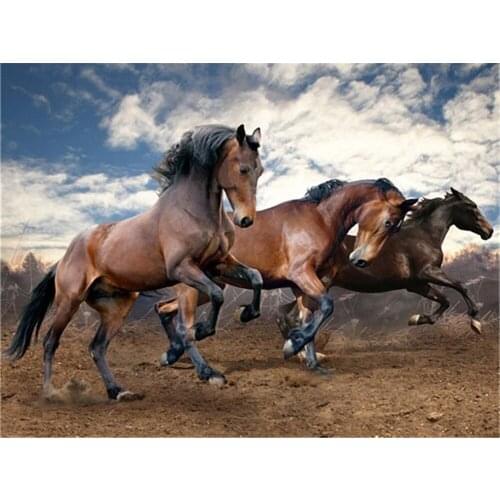 Animal Horse Printed Fabric 11CT Cross-Stitch DIY Embroidery Patterns DMC Threads Painting Craft Sewing Needlework Design