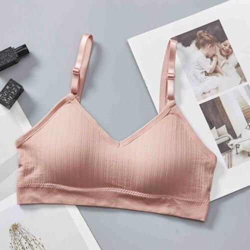 Women Padded Adjustable Bras Sexy Lingeires Hollow Back Tube Tops Push Up Tube Bras