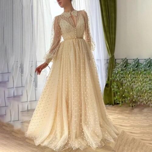 Polka Dots Prom Dresses Long Sleeves Lace Collar Keyhole Evening Gowns Buttoned A-Line Tulle Formal Party Dresses